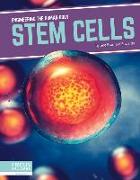 Engineering the Human Body: Stem Cells
