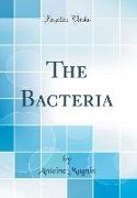 The Bacteria (Classic Reprint)