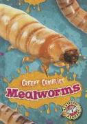 Mealworms