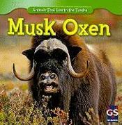 Musk Oxen