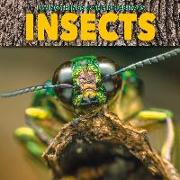 Insects