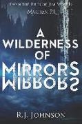 A Wilderness of Mirrors: A Jim Meade: Martian P.I. Novel
