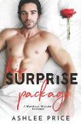 His Surprise Package: A Marriage Mistake Romance