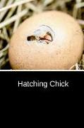 Hatching Chick: Blank Writing Notebook Lined Page Book Soft Cover Plain Journal for a Easter Stationery Basket Gift Lent