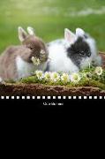 Cute Bunnies: Blank Writing Notebook Lined Page Book Soft Cover Plain Journal for a Easter Stationery Basket Gift Lent