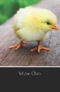 Yellow Chick: Blank Writing Notebook Lined Page Book Soft Cover Plain Journal for a Easter Stationery Basket Gift Lent