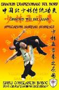 Shaolin Tradizionale del Nord Vol.13: Shaolin Wu Bu Quan - Applicazioni Marziali Avanzate