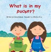 What Is in My Pocket?, 2