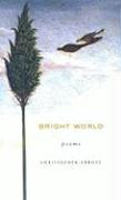 Bright World