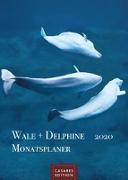 Wale und Delphine Monatsplaner 2020 30x42cm
