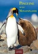 Pinguine Monatsplaner 2020 30x42cm