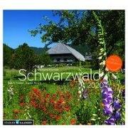 Schwarzwald 2020 Postkarten-Tischkalender