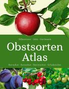Obstsorten - Atlas