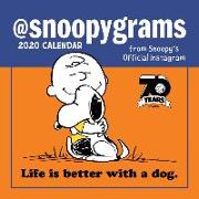 Peanuts 2020 Mini Wall Calendar: @snoopygrams