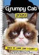 2020 Grumpy Cat 18-Month Weekly Planner: By Sellers Publishing