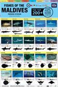 Maldives Fish Field Guide "Top 200+"