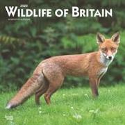 Wildlife of Britain 2020 Square Wall Calendar