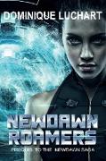 NEWDAWN ROAMERS A Prequel to NEWDAWN Saga, 2098