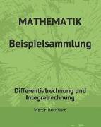 Mathematik Beispielsammlung: Differentialrechnung Und Integralrechnung