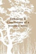 Delusions & Conclusions of a Troubled Mind