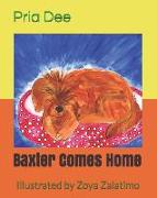 Baxter Comes Home