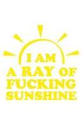 I Am a Ray of Fucking Sunshine: Blank Lined Notebook Journal Diary Composition Notepad 120 Pages 6x9 Paperback ( Female Empowerment )