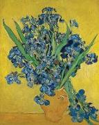 Vincent Van Gogh Irises - Wide Ruled Lined Journal: Beautiful Van Gogh Irises Still Life Themed Cover for Work, Home, or School. Perfect for Writing