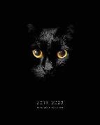 2019-2023 Five Year Planner: Black Cat in the Shadows Monthly Calendar Planner, 5 Year Calendar and Schedule Organizer