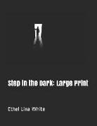 Step in the Dark: Large Print