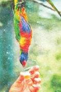 Notes: Man Giving Sweet Nectar to Lorikeet Rainbow Parrot - Blank College-Ruled Lined Notebook
