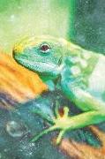 Notes: Green Lizard, Fiji Banded Iguana - Blank College-Ruled Lined Notebook