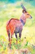 Notes: East African Bushbuck Standing in the Bush - Blank College-Ruled Lined Notebook