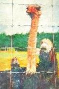 Notes: Curious Ostrich Behind a Fence on a Farm - Blank College-Ruled Lined Notebook