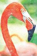 Notes: American Flamingo with Its Long Neck and Beak - Blank College-Ruled Lined Notebook