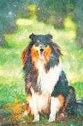 Notes: Tricolor Scottish Rough Long-Haired Collie - Blank College-Ruled Lined Notebook