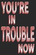 You're in Trouble Now: Sassy Quotes - Lined Notebook / Diary / Journal