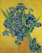 Vincent Van Gogh Irises - Dot Grid Journal: Beautiful Van Gogh Irises Bullet Grid Notebook for Work, Home or School. Perfect for Writing, Drawing, or