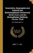 Geschichte, Geographie Und Statistik Des Erzherzogthums Oesterreich OB Der Enns Und Des Herzogthums Salzburg. Fünfter Theil: Der Salzburgerkreis