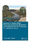 Dynamics in Organic Matter Processing, Ecosystem Metabolism and Tropic Sources for Consumers in the Mara River, Kenya