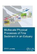 Multiscale Physical Processes of Fine Sediment in an Estuary