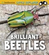 BRILLIANT BEETLES