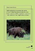 Self-regulating ecosystem dynamics in future wilderness development driven by large herbivore-wildfire-vegetation interactions - and relations to the megaherbivore theory -