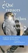 ¿Qué rapaces y buhos son estos?