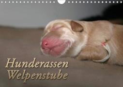 Hunderassen - Welpenstube (Wandkalender 2020 DIN A4 quer)
