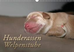 Hunderassen - Welpenstube (Wandkalender 2020 DIN A3 quer)
