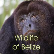 Wildlife of Belize (Wall Calendar 2020 300 × 300 mm Square)