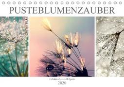 PusteblumenZauber (Tischkalender 2020 DIN A5 quer)