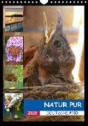 Natur pur - Deutschland (Wandkalender 2020 DIN A4 hoch)