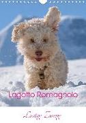 Lagotto Romagnolo - Lustige Zwerge (Wandkalender 2020 DIN A4 hoch)