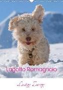 Lagotto Romagnolo - Lustige Zwerge (Wandkalender 2020 DIN A3 hoch)